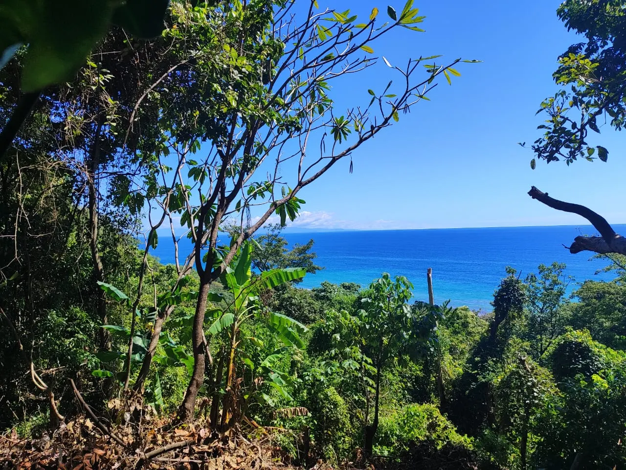 Ocean-View Lot 500 m from Montezuma Town Center photo 10