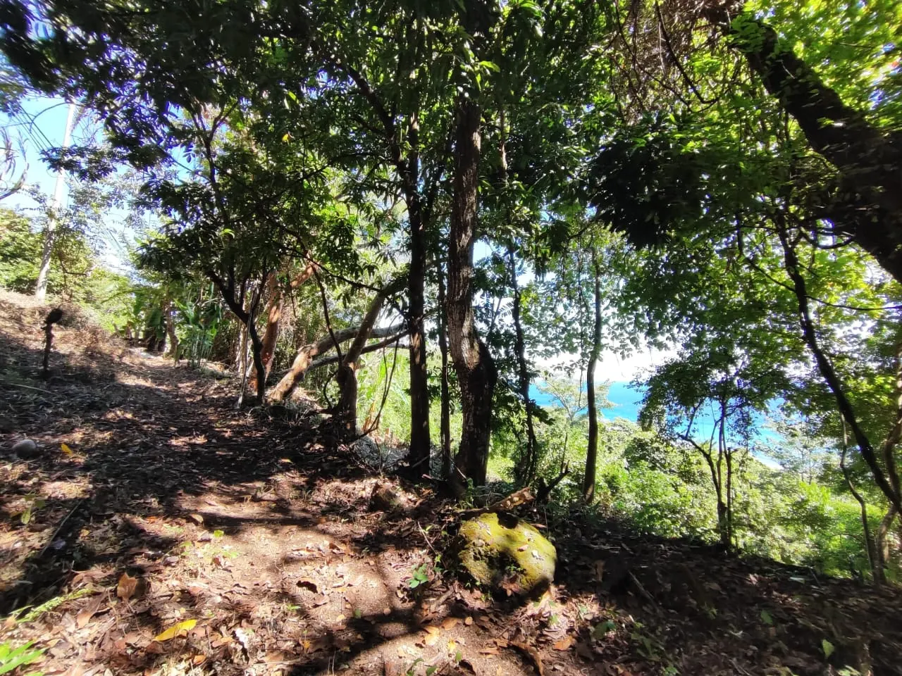Ocean-View Lot 500 m from Montezuma Town Center photo 11