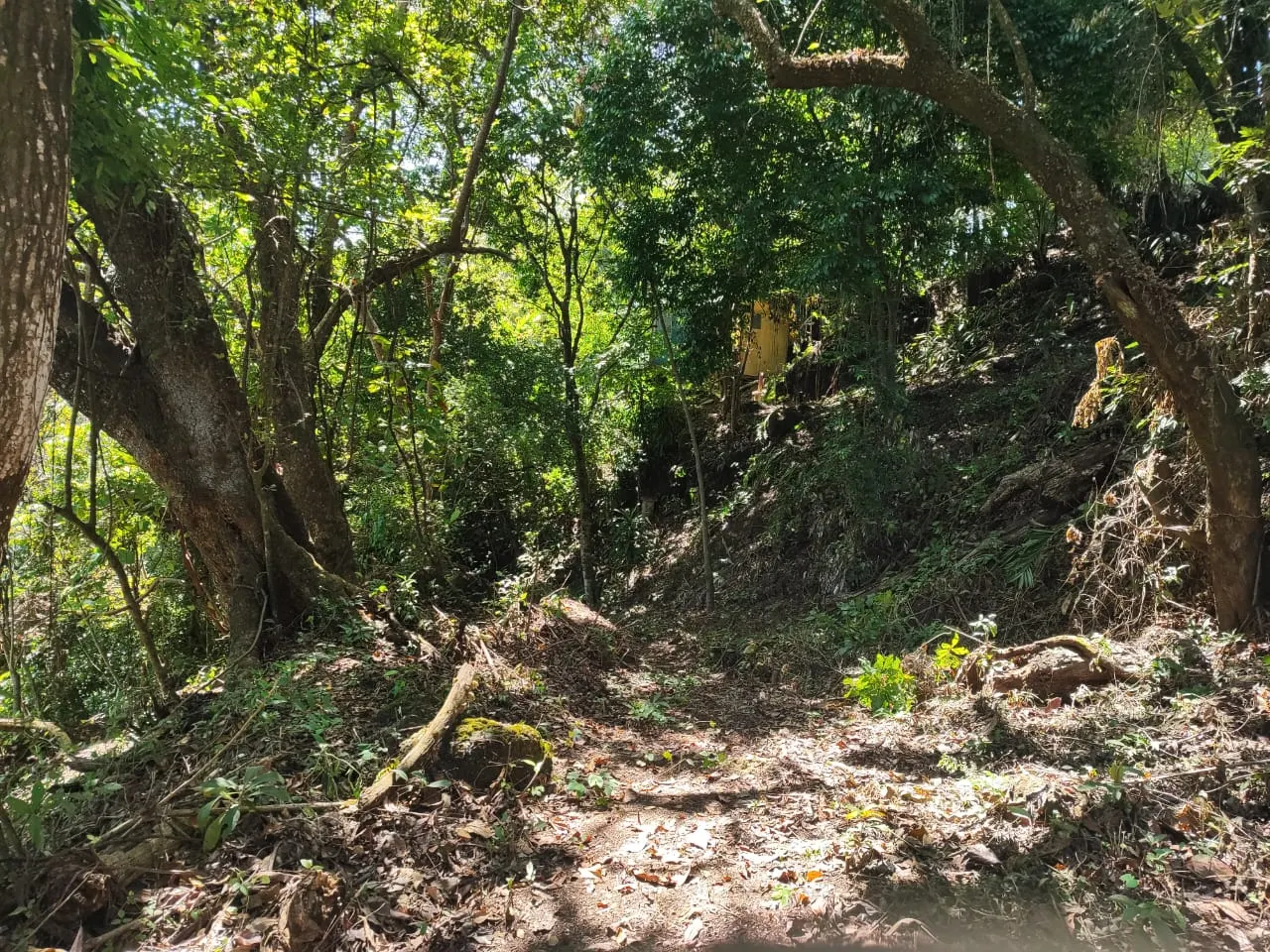 Ocean-View Lot 500 m from Montezuma Town Center photo 12