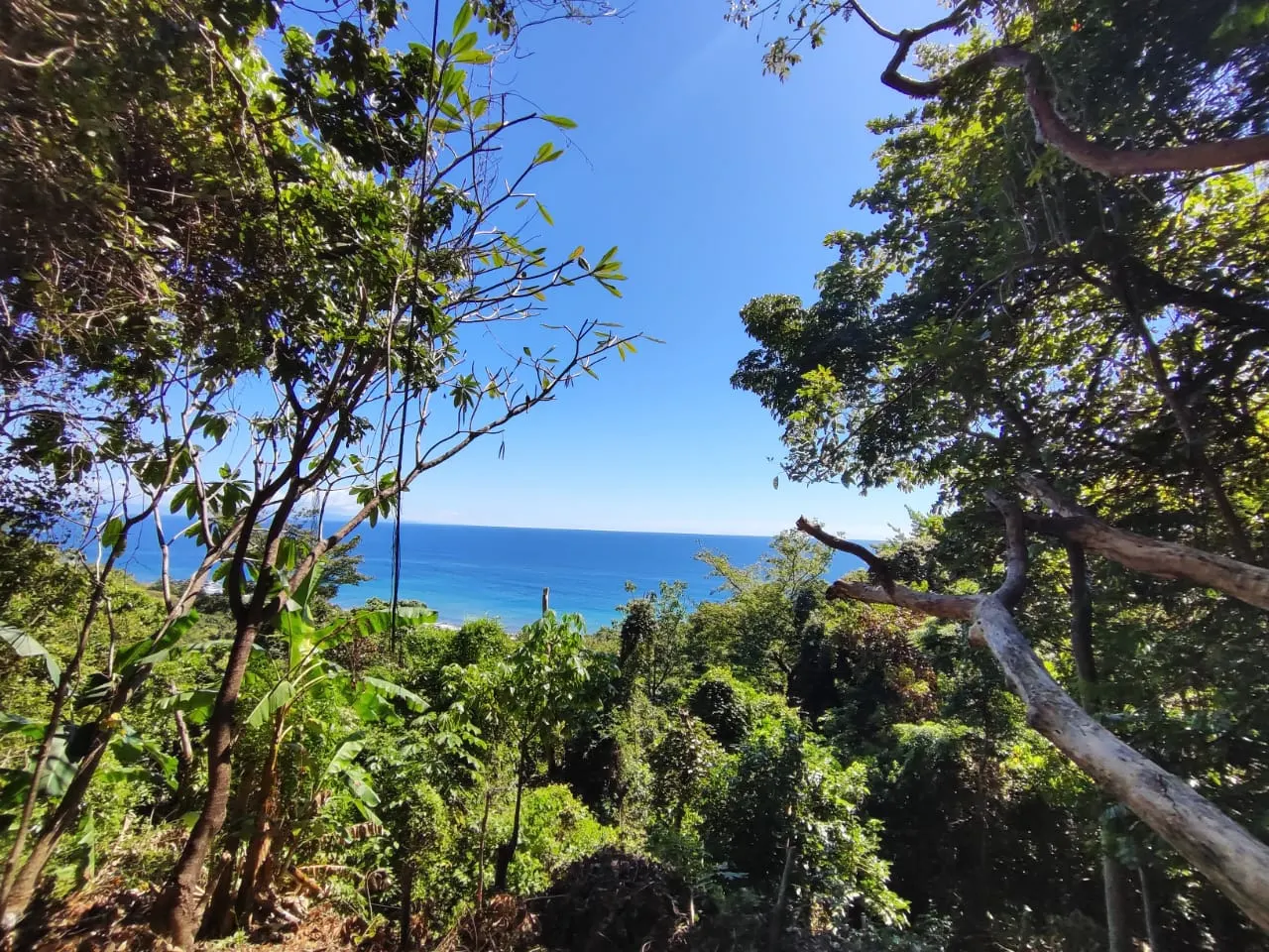 Ocean-View Lot 500 m from Montezuma Town Center photo 3