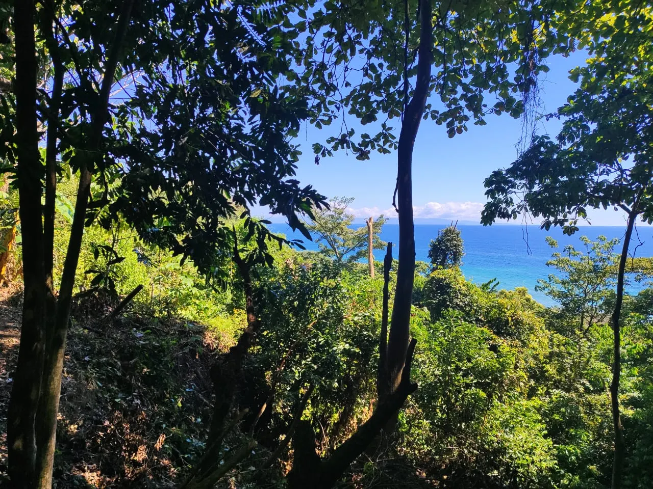 Ocean-View Lot 500 m from Montezuma Town Center photo 4
