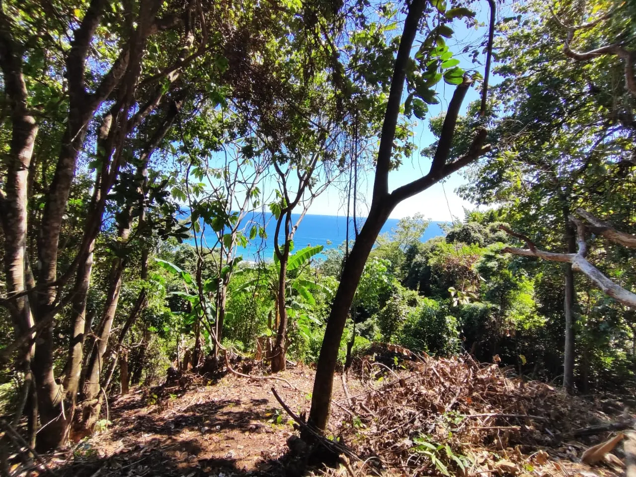 Ocean-View Lot 500 m from Montezuma Town Center photo 5