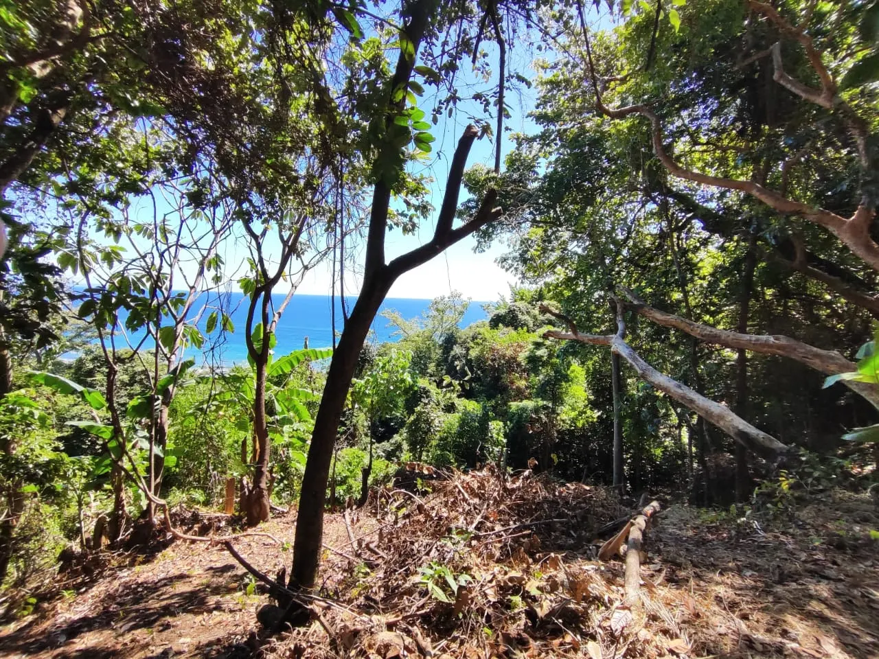 Ocean-View Lot 500 m from Montezuma Town Center photo 6