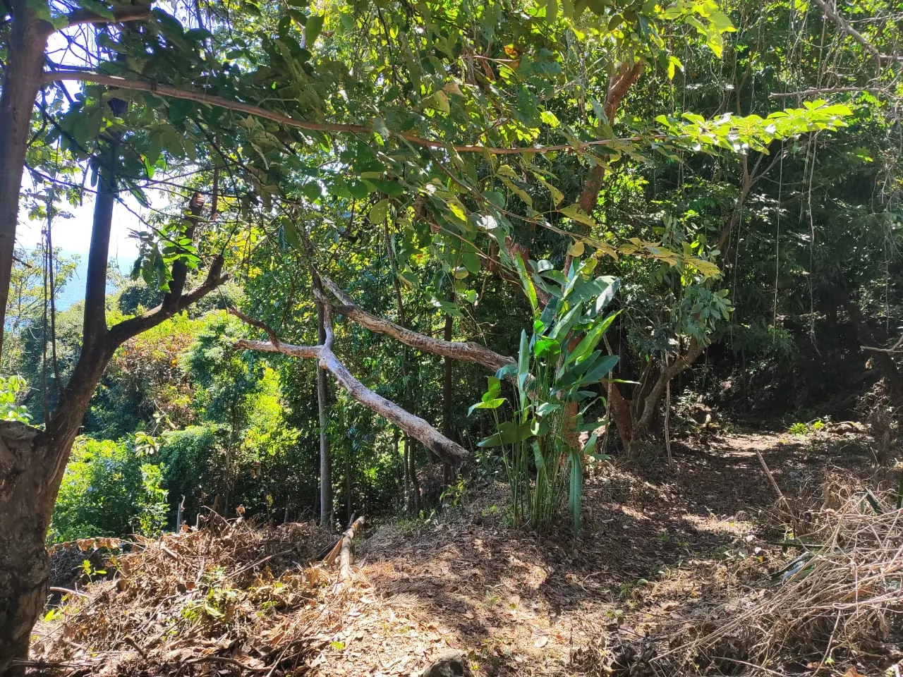 Ocean-View Lot 500 m from Montezuma Town Center photo 7