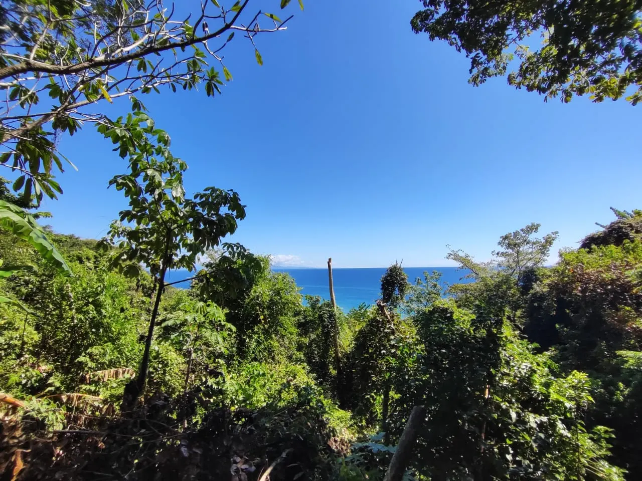 Ocean-View Lot 500 m from Montezuma Town Center photo 8