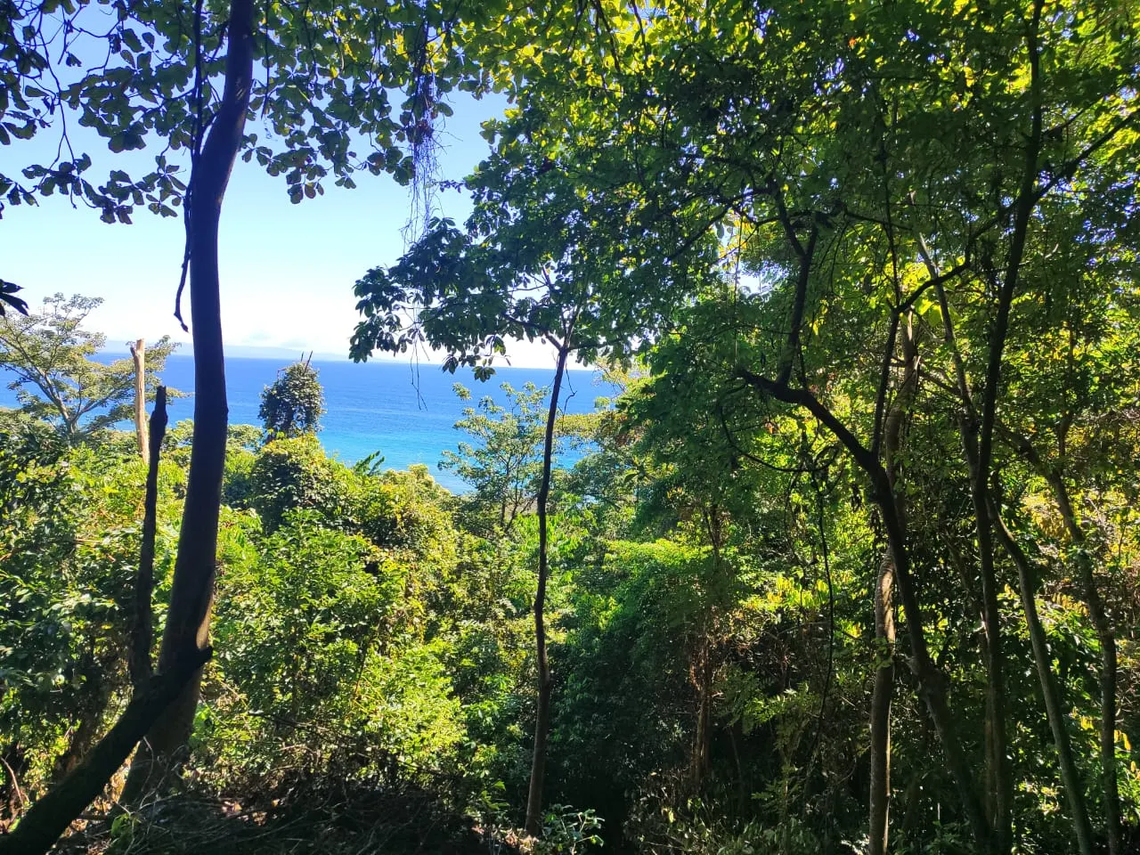 Ocean-View Lot 500 m from Montezuma Town Center photo 9