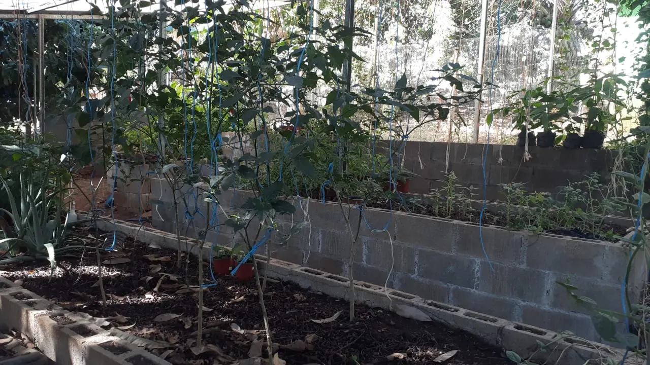 Self-Sufficient Organic Finca with Teak Home Near Montezuma photo 10