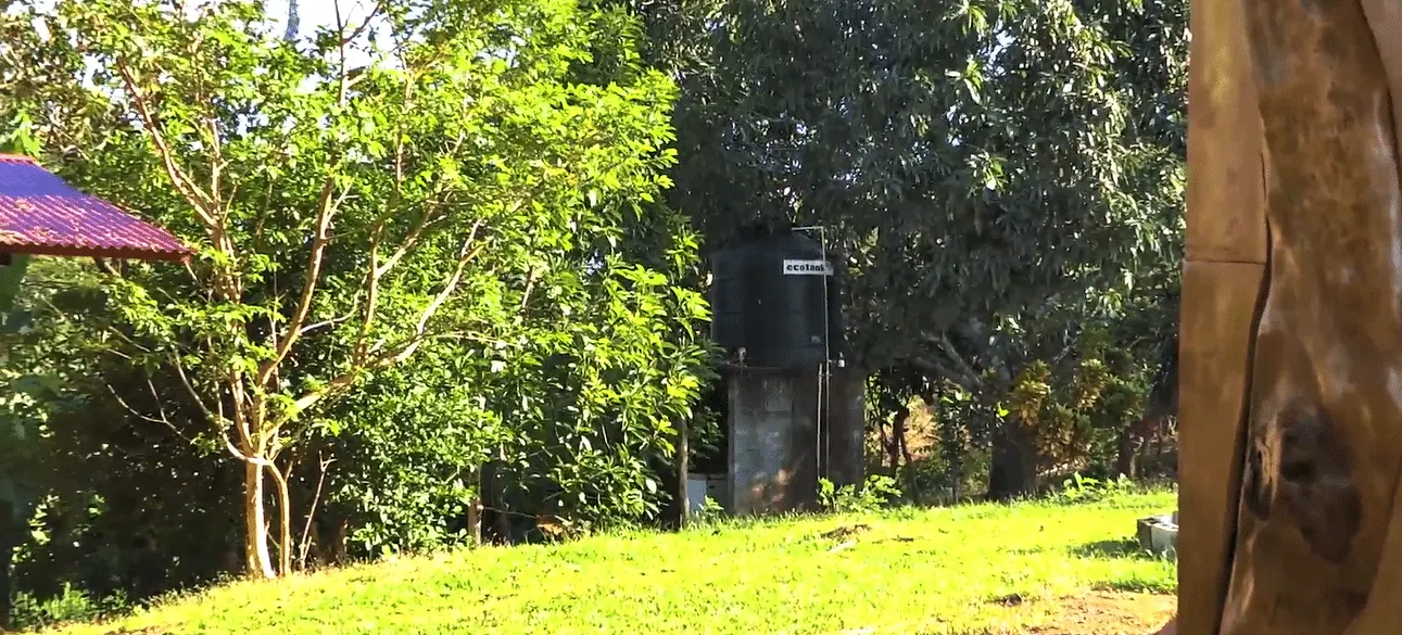 Self-Sufficient Organic Finca with Teak Home Near Montezuma photo 12