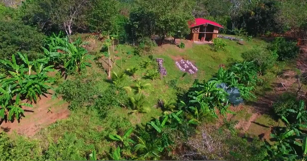 Self-Sufficient Organic Finca with Teak Home Near Montezuma photo 2