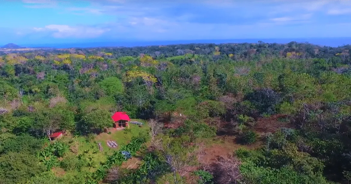 Self-Sufficient Organic Finca with Teak Home Near Montezuma photo 3