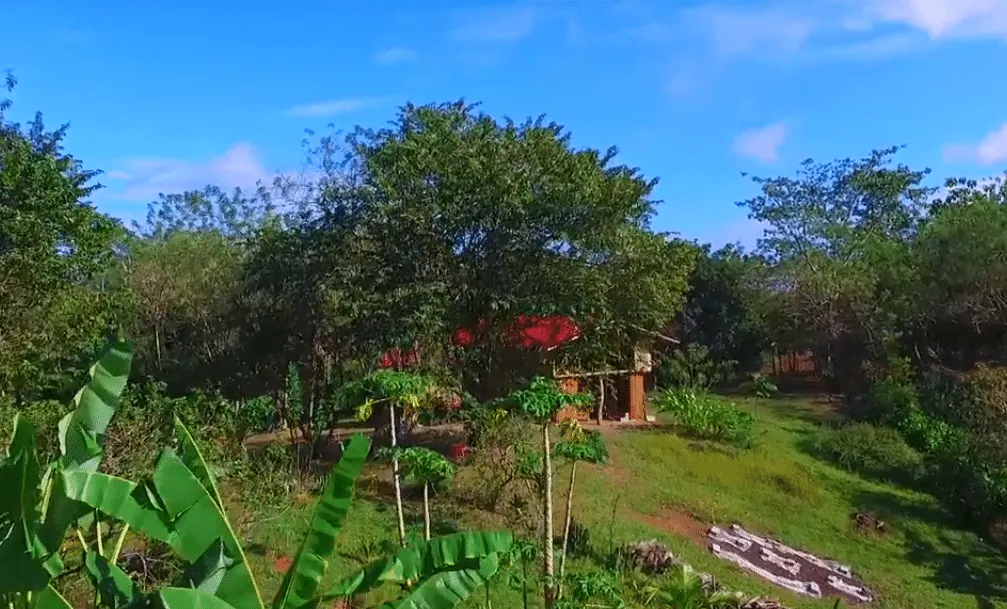 Self-Sufficient Organic Finca with Teak Home Near Montezuma photo 4