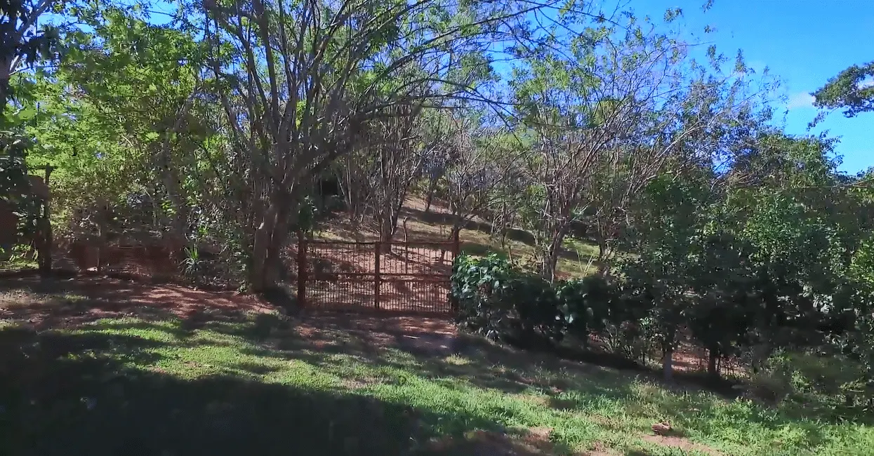 Self-Sufficient Organic Finca with Teak Home Near Montezuma photo 6