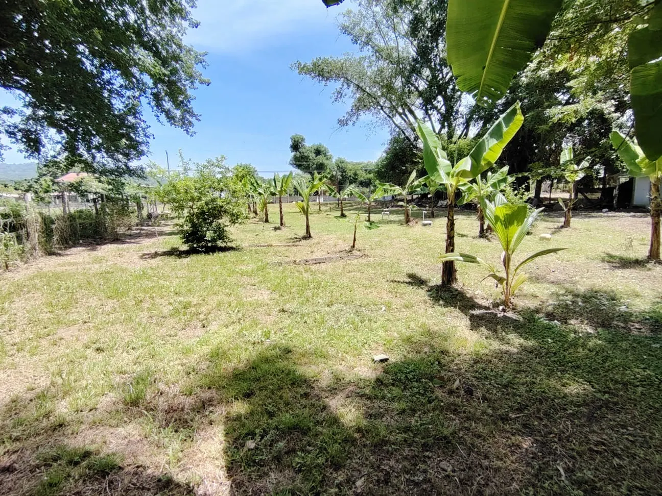 Corner Development Lot on Cabuya's Main Road photo 4