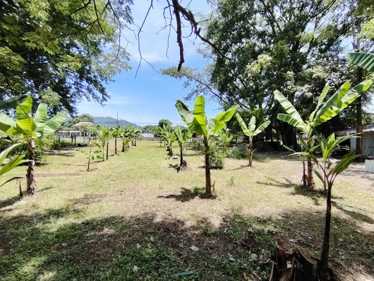 Corner Development Lot on Cabuya's Main Road photo 5