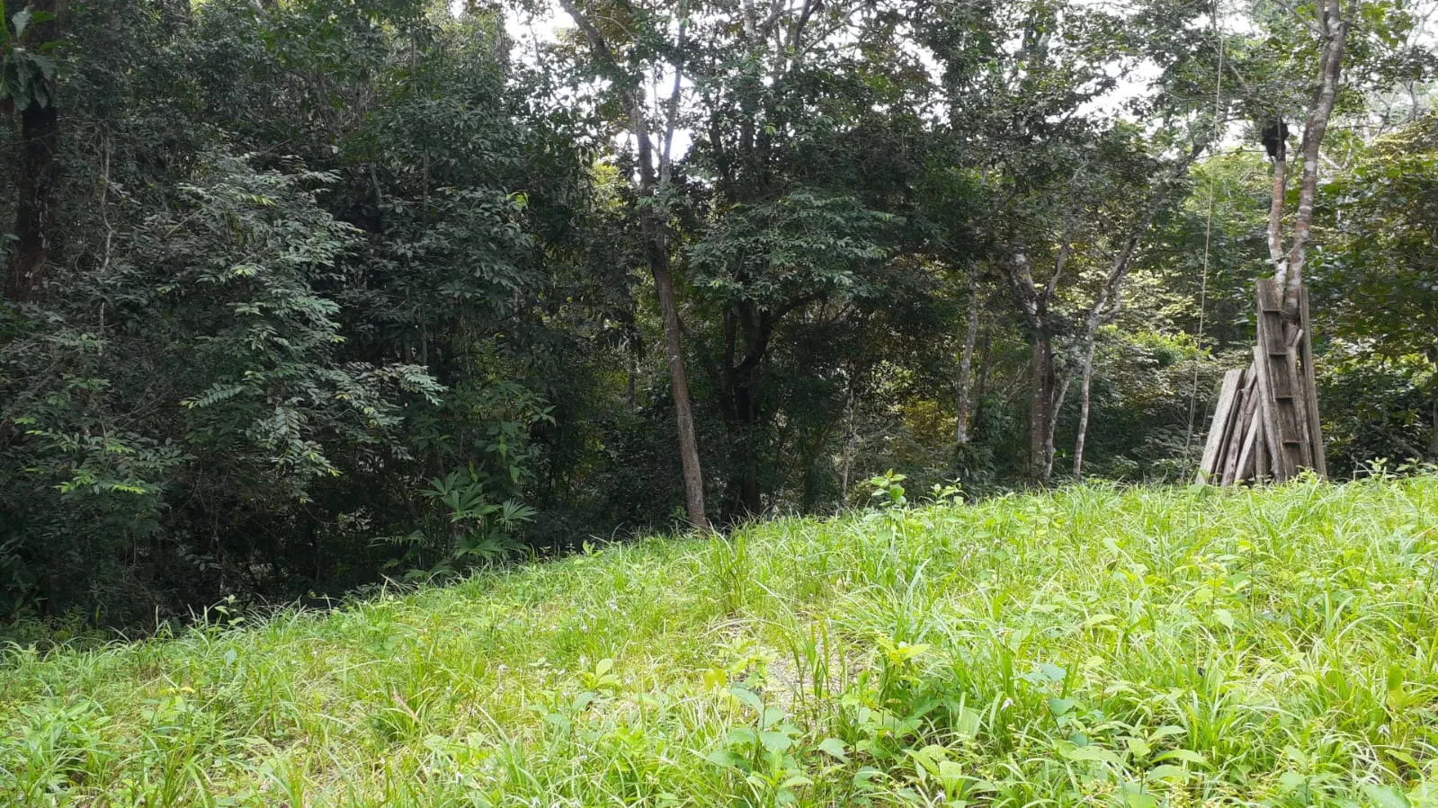 Private 1.44-Acre Lot with Water Meter near Montezuma photo 1