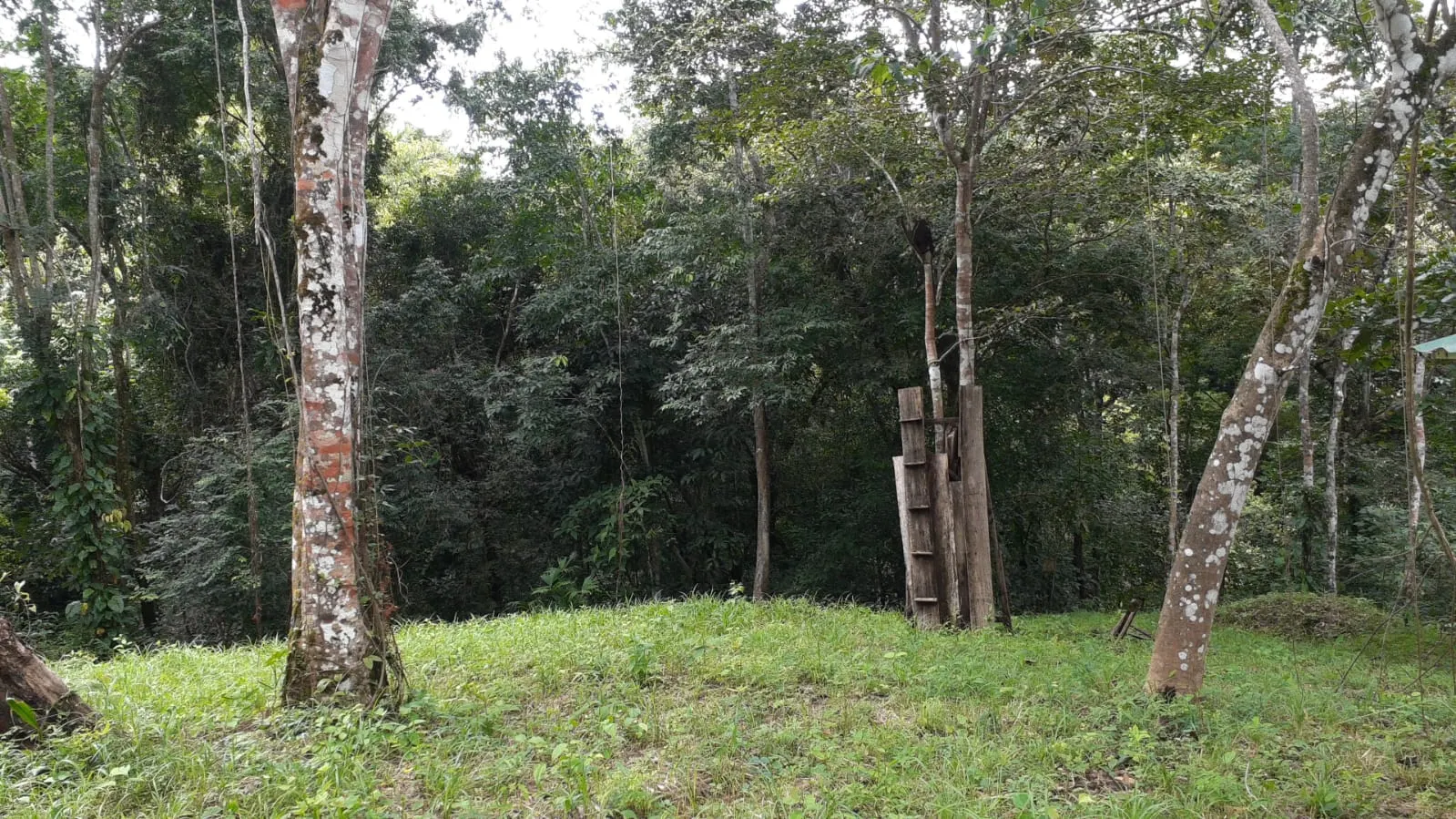 Private 1.44-Acre Lot with Water Meter near Montezuma photo 2