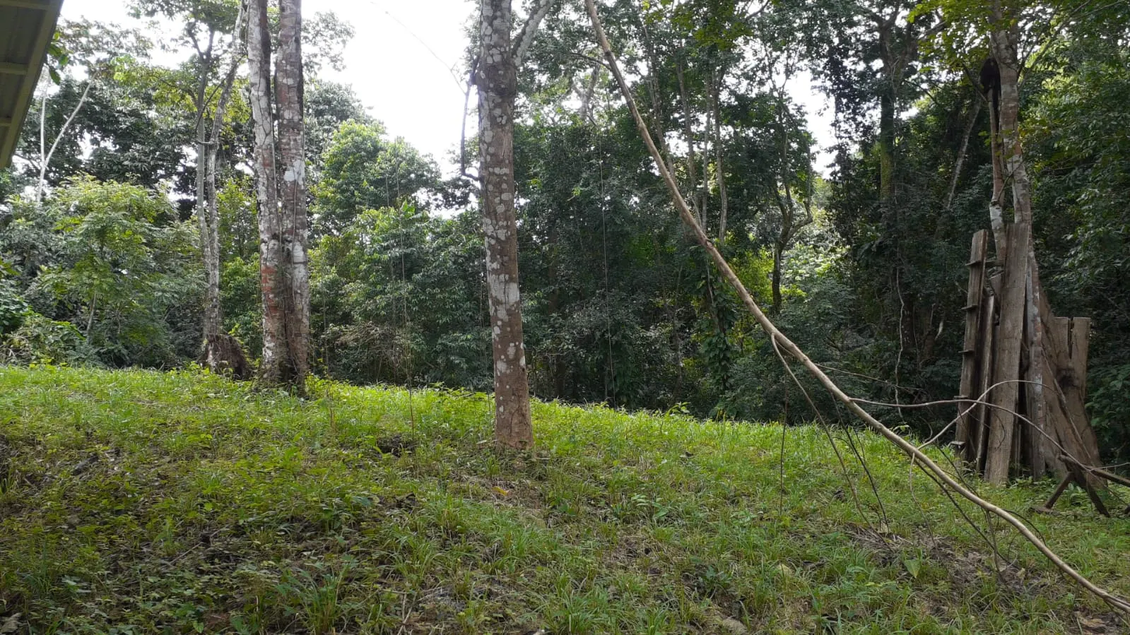 Private 1.44-Acre Lot with Water Meter near Montezuma photo 3