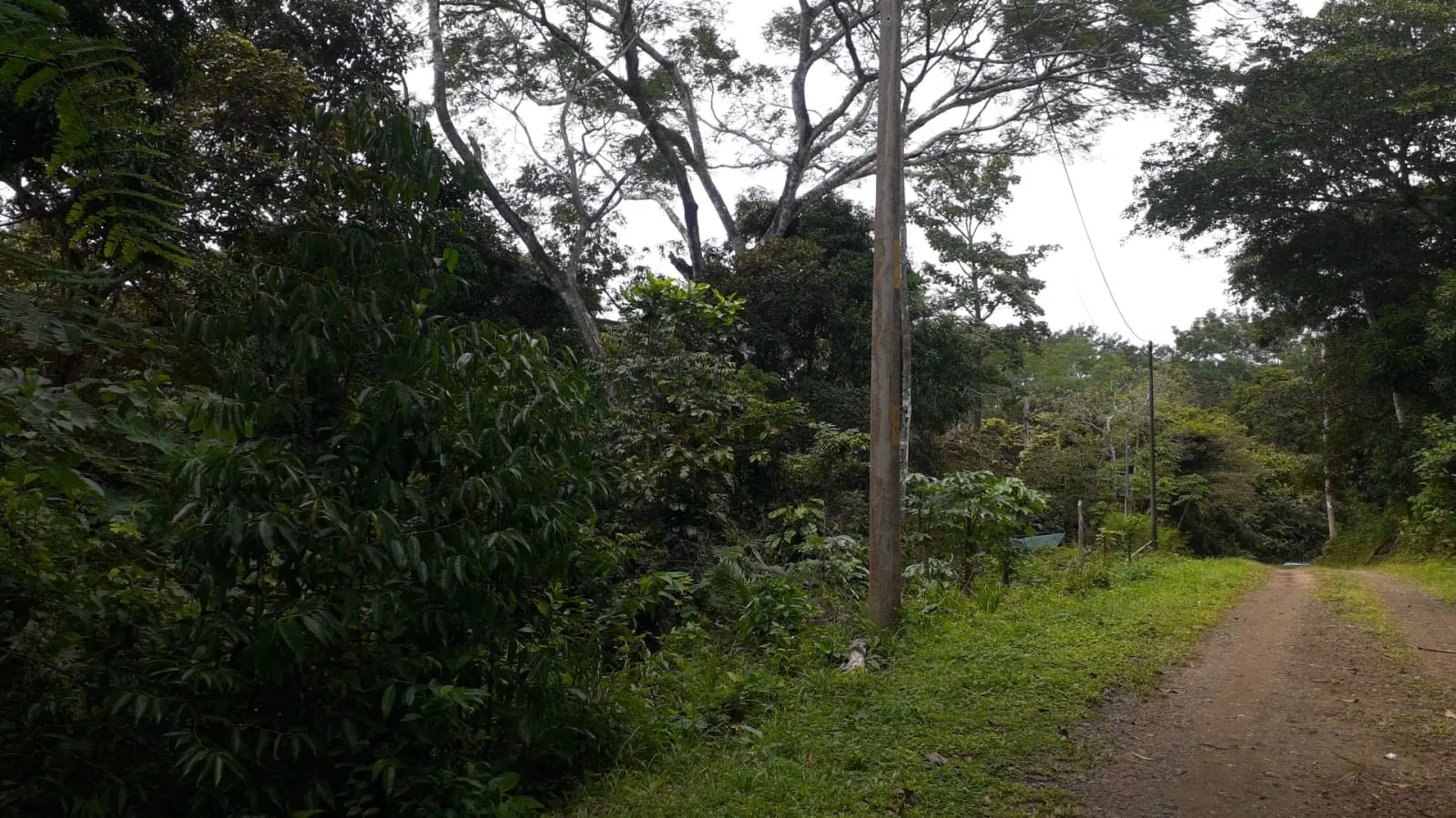 Private 1.44-Acre Lot with Water Meter near Montezuma photo 4