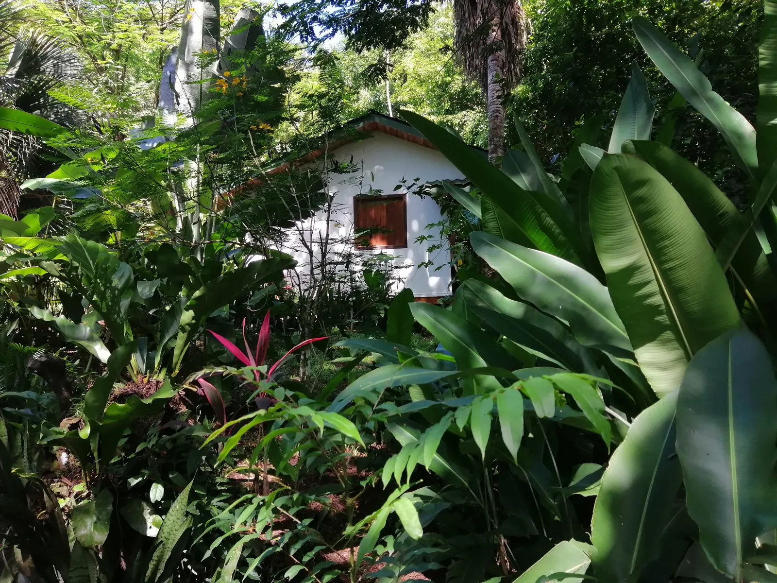 Turnkey Multi-Home Rental Property on the Montezuma Road photo 10