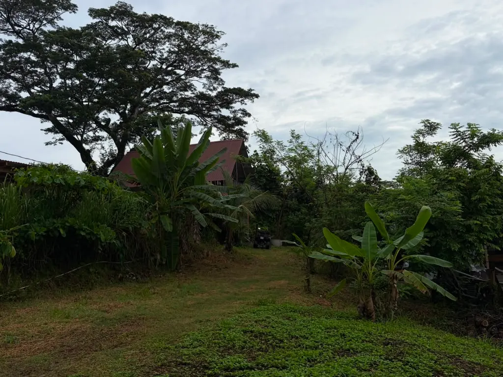 Teak-Framed 2BR Home with Buildable Road Frontage in Cabuya photo 4