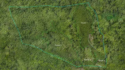 60.5-Acre Eco-Investment with 3,200 Teak Trees near Tambor in Tambor, Costa Rica