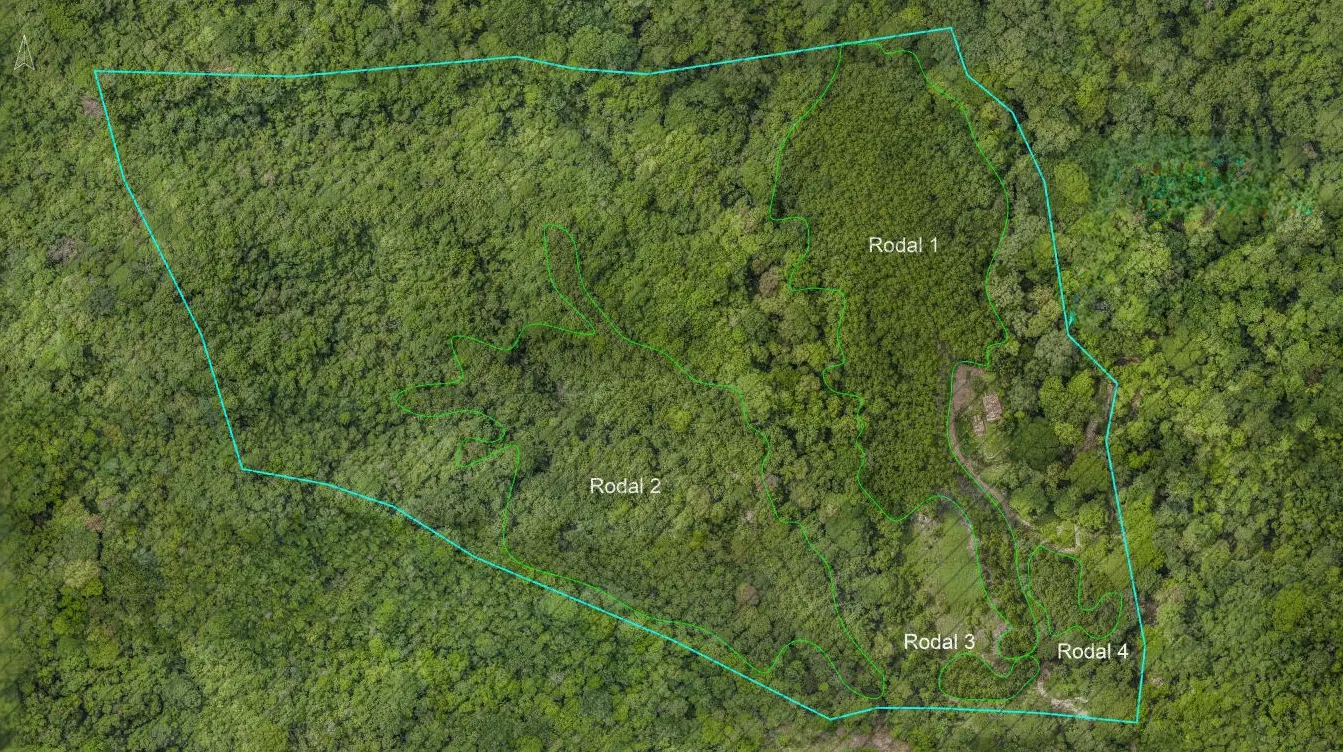 60.5-Acre Eco-Investment with 3,200 Teak Trees near Tambor photo 1