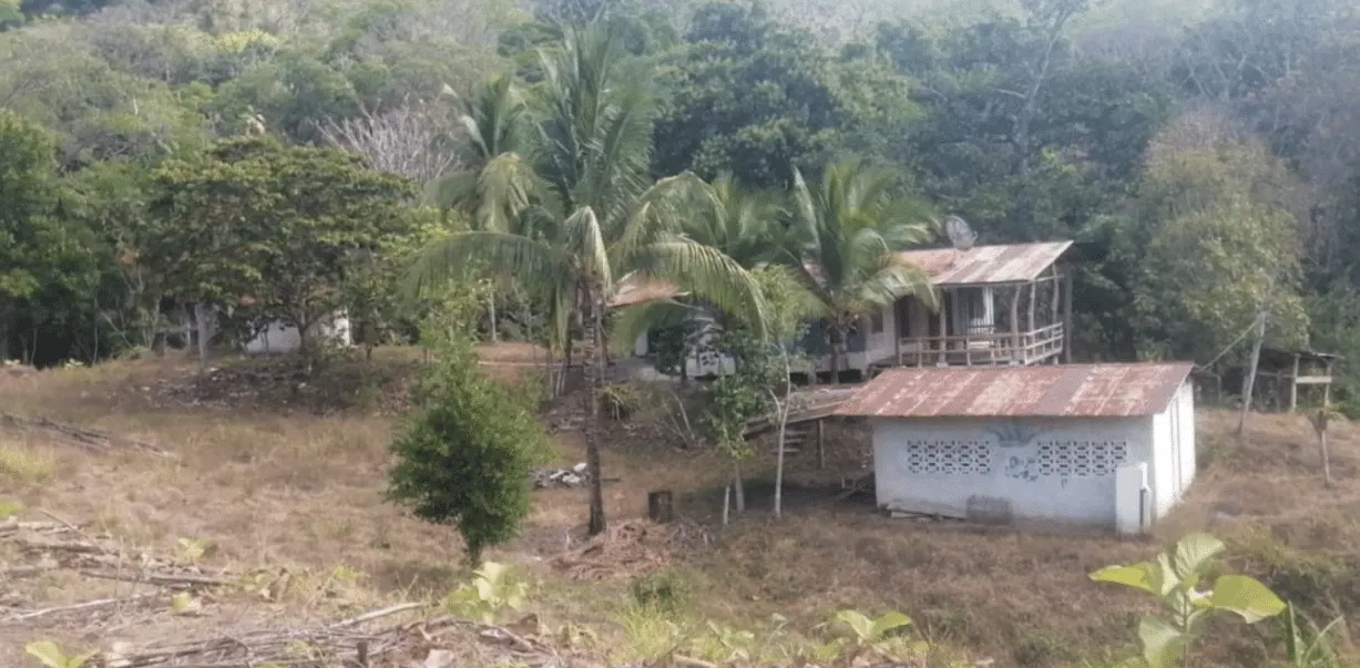 60.5-Acre Eco-Investment with 3,200 Teak Trees near Tambor photo 5
